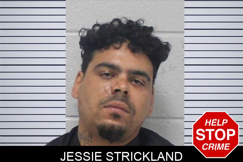 Jessie Strickland mugshot