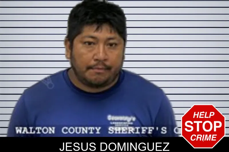 Jesus Dominguez mugshot