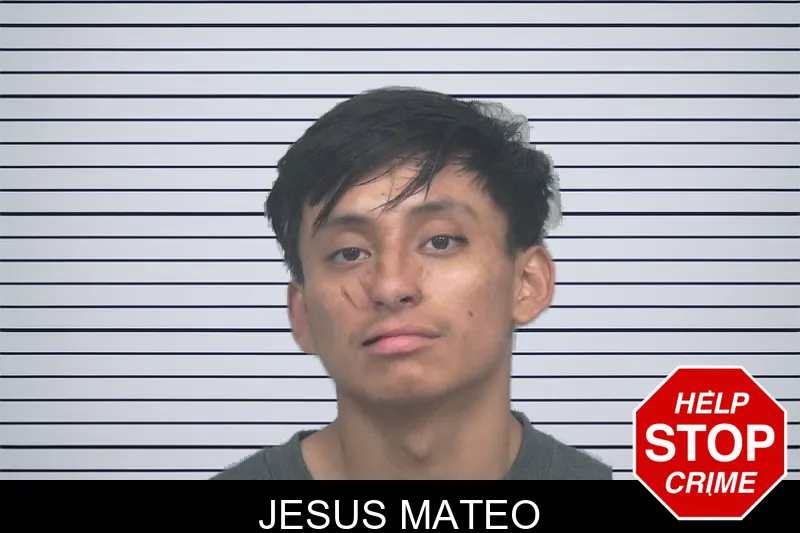 Jesus Mateo mugshot