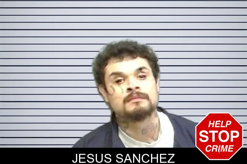 Jesus Sanchez mugshot