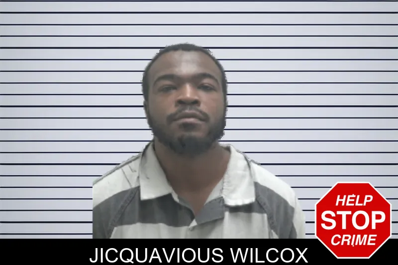 Jicquavious Wilcox mugshot – Dougherty County , Georgia Jicquavious Wilcox mugshot