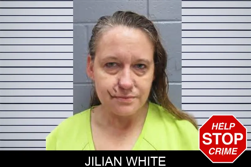 Jilian White mugshot – Lee County , Georgia Jilian White mugshot