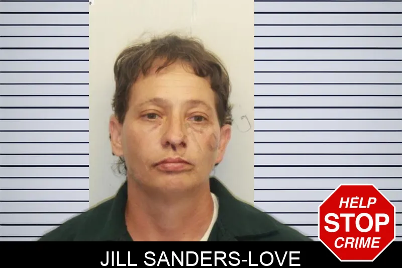 Jill Sanders-Love mugshot – Chatham County , Georgia Jill Sanders-Love mugshot