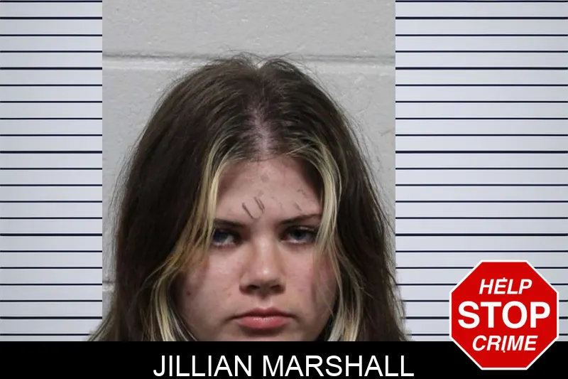 Jillian Marshall mugshot