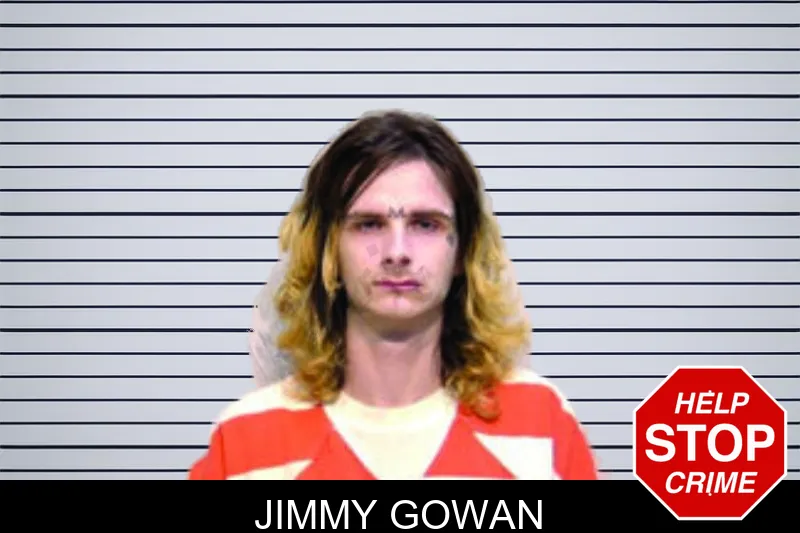 Jimmy Gowan mugshot