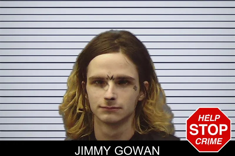 Jimmy Gowan mugshot