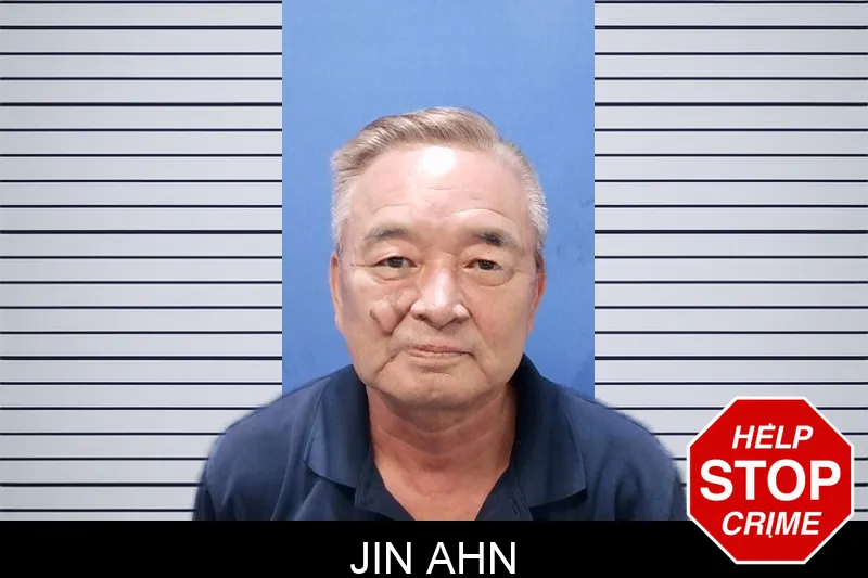 Jin Ahn mugshot