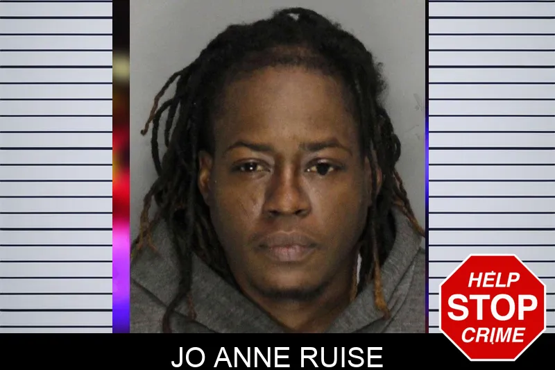 Jo Anne Ruise mugshot