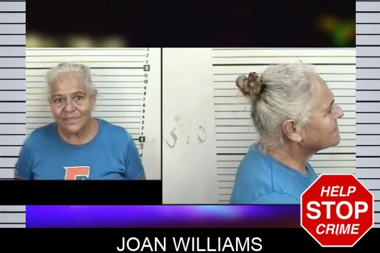 Joan Williams mugshot – Camden County , Georgia Joan Williams