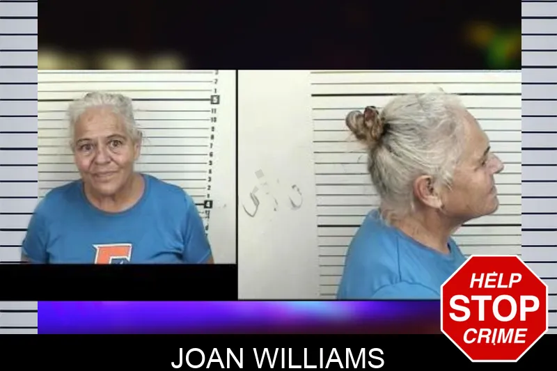 Joan Williams mugshot – Camden County , Georgia Joan Williams mugshot