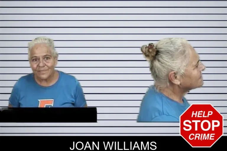 Joan Williams