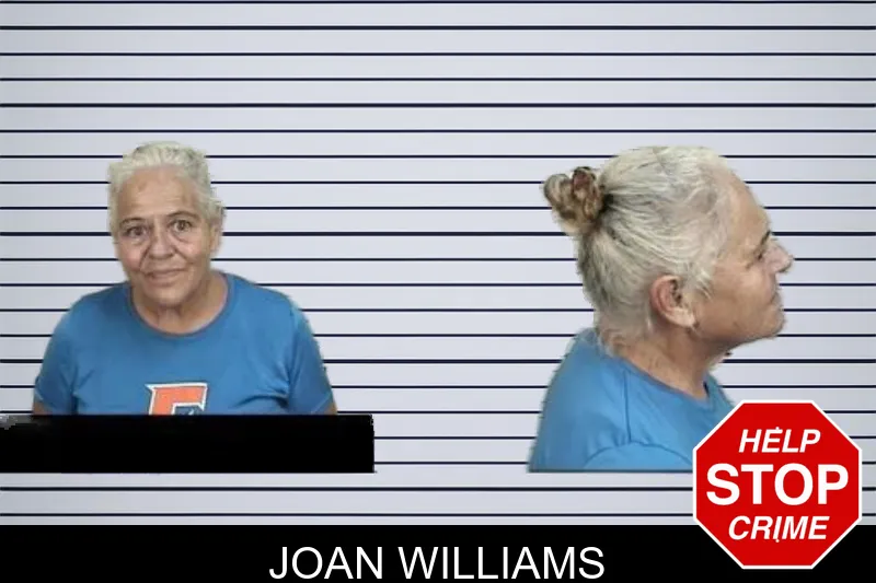 Joan Williams mugshot – Camden County , Georgia Joan Williams mugshot