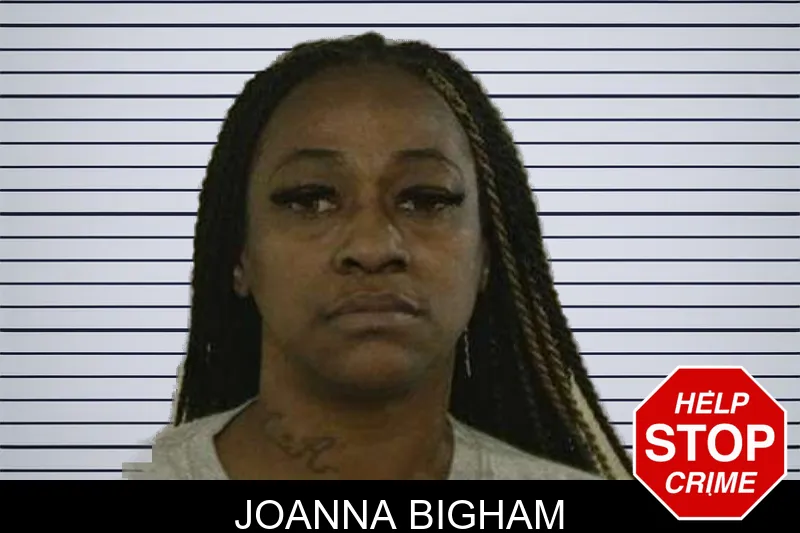 Joanna Bigham mugshot – Liberty County , Georgia Joanna Bigham mugshot