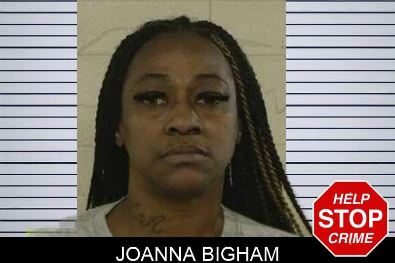 Joanna Bigham mugshot – Liberty County , Georgia Joanna Bigham mugshot