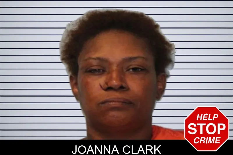 Joanna Clark mugshot – Seminole County , Georgia Joanna Clark mugshot