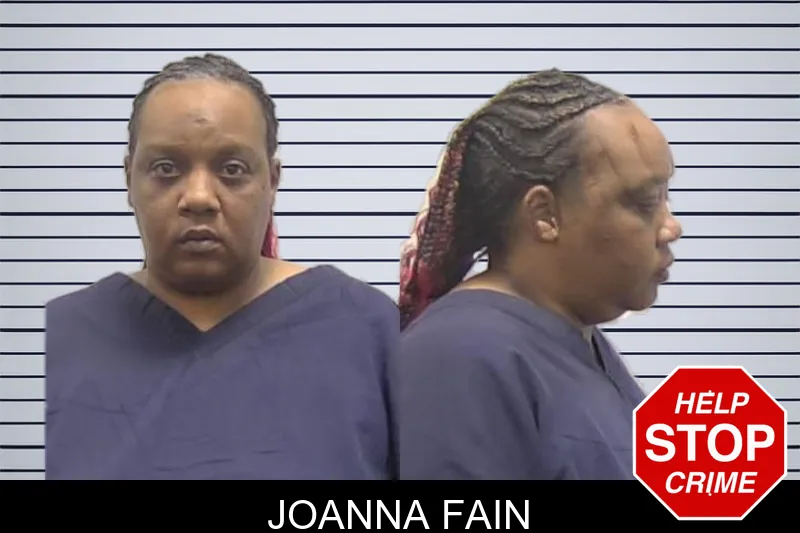 Joanna Fain mugshot