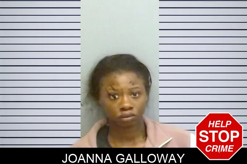 Joanna Galloway mugshot – Fulton County , Georgia Joanna Galloway mugshot