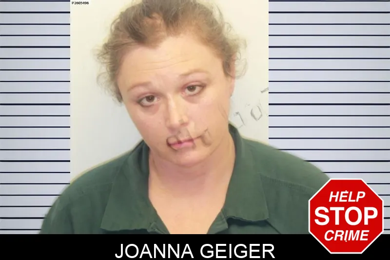 Joanna Geiger mugshot – Chatham County , Georgia Joanna Geiger mugshot