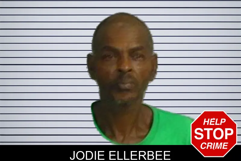Jodie Ellerbee mugshot