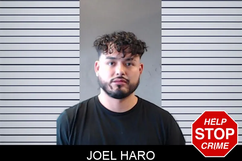 Joel Haro mugshot