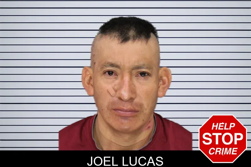 Joel Lucas mugshot – Cobb County , Georgia Joel Lucas mugshot