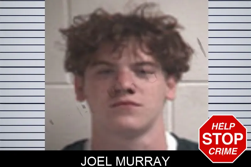 Joel Murray mugshot
