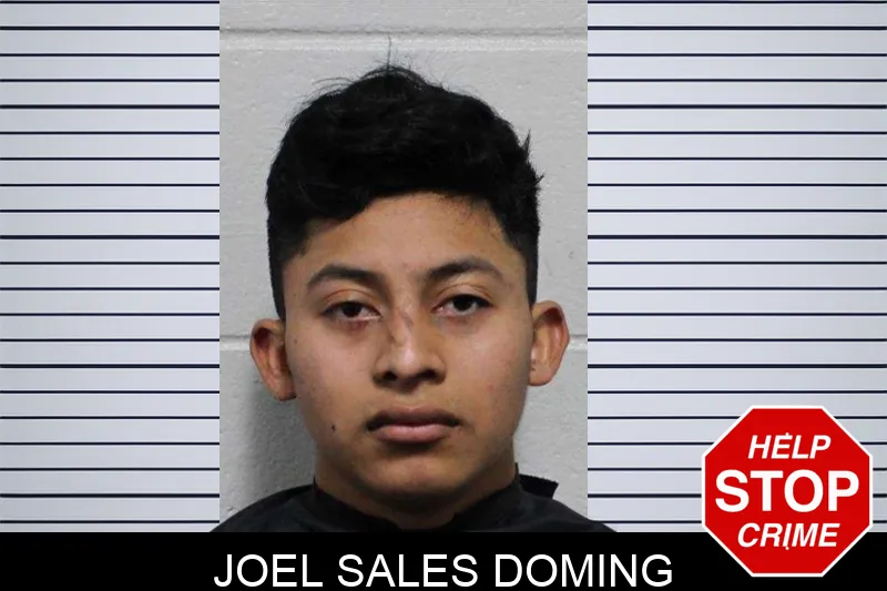 Joel Sales Doming mugshot