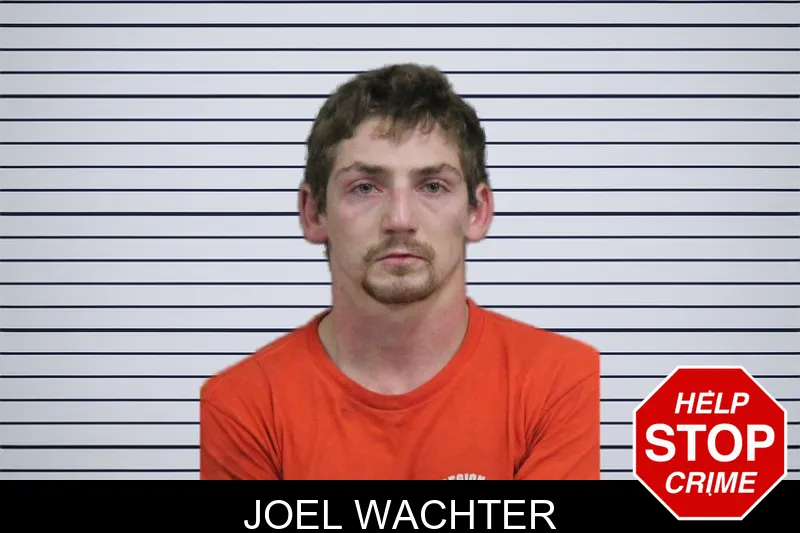 Joel Wachter mugshot