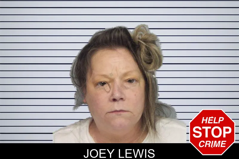 Joey Lewis mugshot