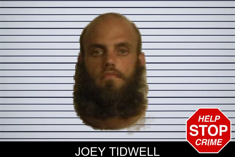 Joey Tidwell mugshot – Crawford County , Georgia Joey Tidwell mugshot