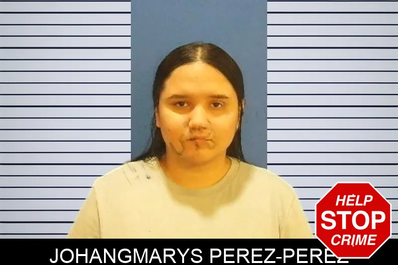 Johangmarys Perez-Perez mugshot
