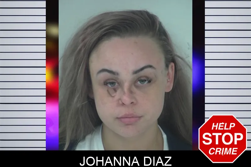 Johanna Diaz mugshot