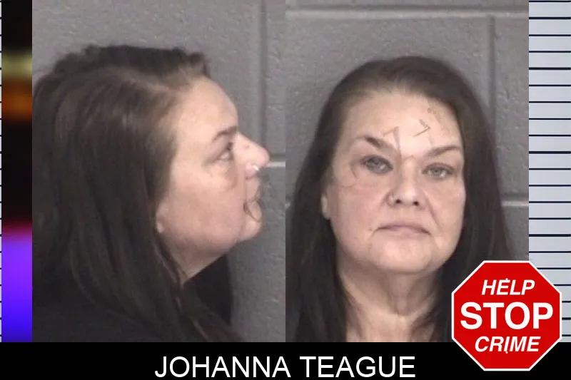 Johanna Teague mugshot