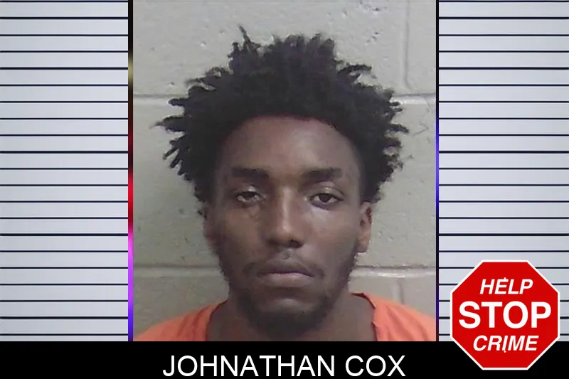 Johnathan Cox mugshot – Wayne County , Georgia Johnathan Cox mugshot