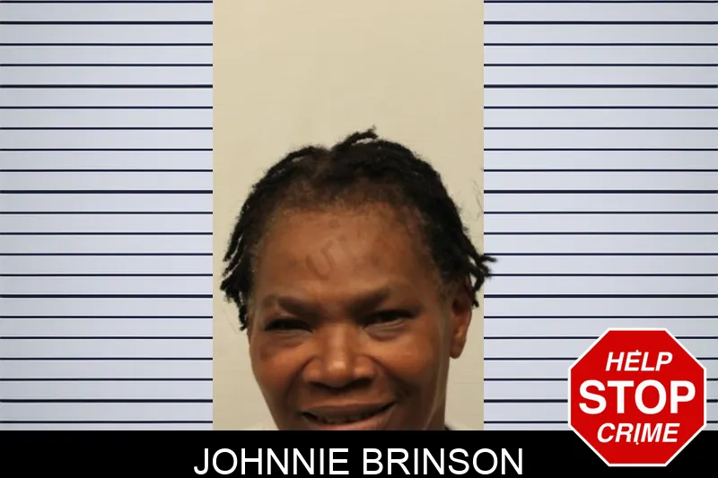 Johnnie Brinson mugshot – Chatham County , Georgia Johnnie Brinson mugshot