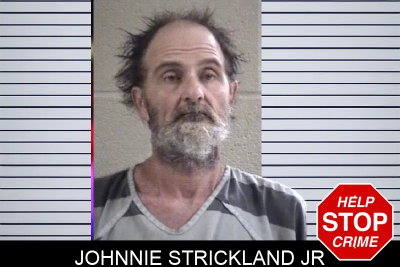 Johnnie Strickland Jr mugshot
