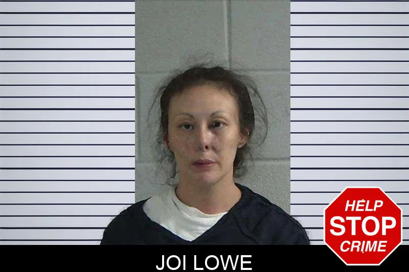 Joi Lowe mugshot