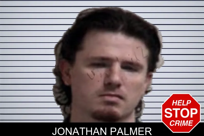 Jonathan Palmer mugshot