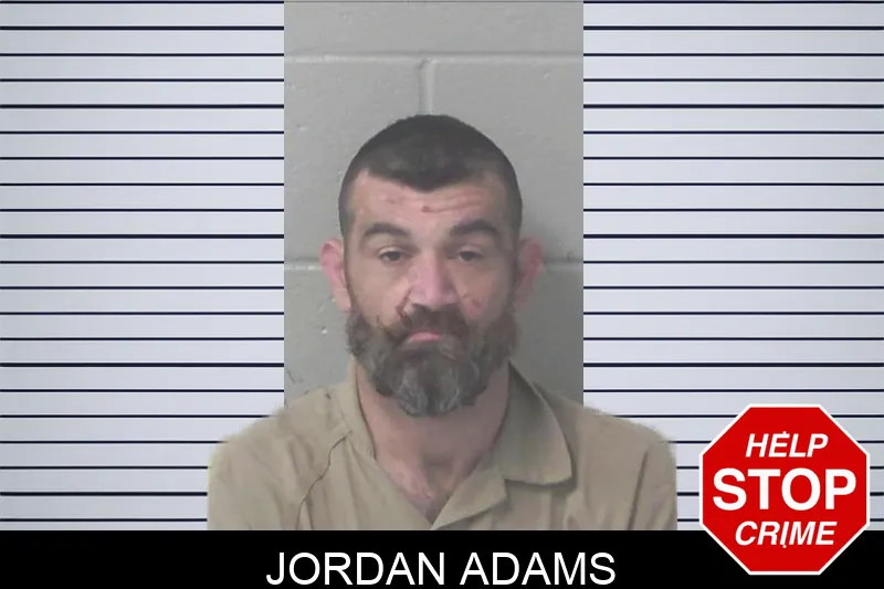 Jordan Adams mugshot
