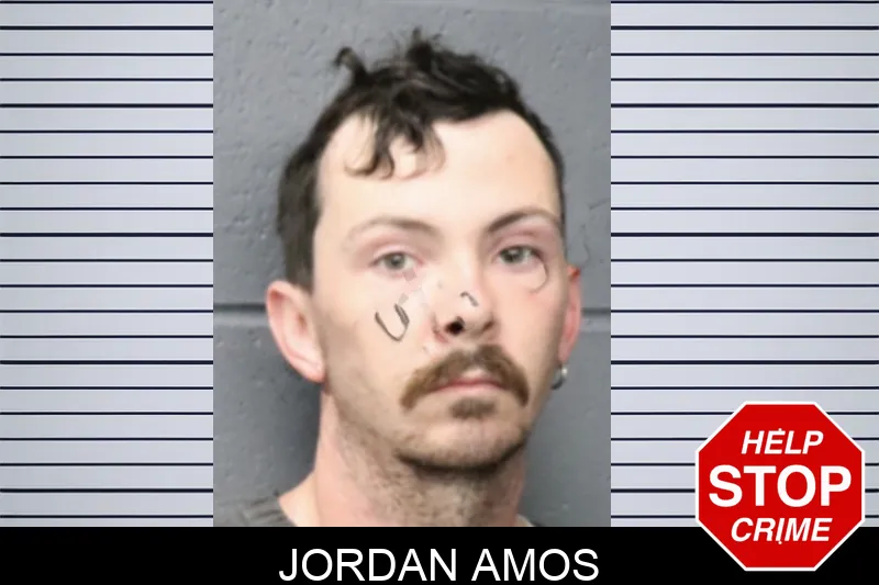 Jordan Amos mugshot – Forsyth County , Georgia Jordan Amos mugshot