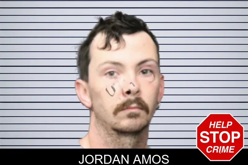 Jordan Amos mugshot