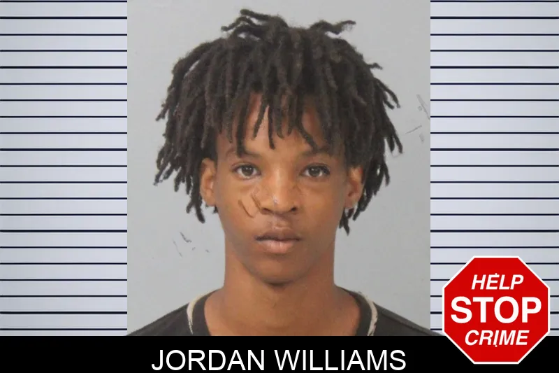 Jordan Williams mugshot