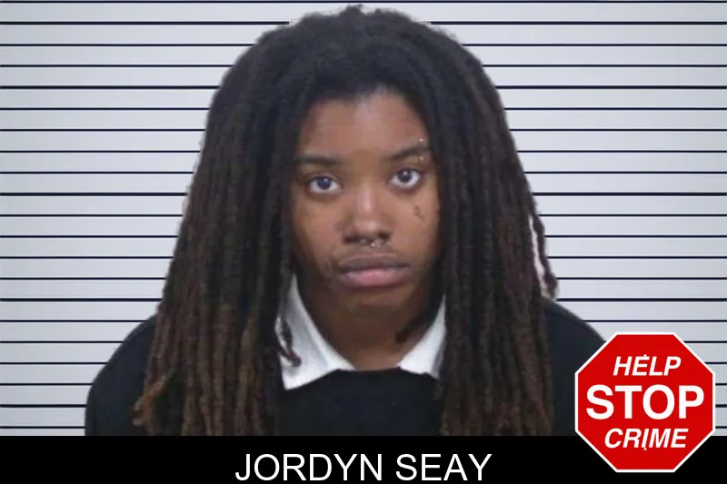 Jordyn Seay mugshot – Washington County , Georgia Jordyn Seay mugshot