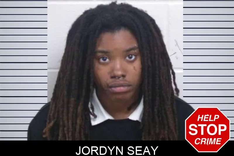 Jordyn Seay mugshot – Washington County , Georgia Jordyn Seay mugshot