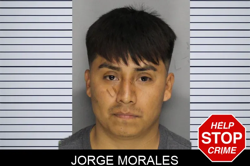 Jorge Morales mugshot