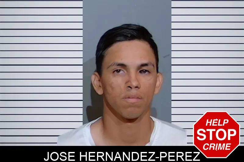 Jose Hernandez-Perez mugshot – Glynn County , Georgia Jose Hernandez-Perez mugshot