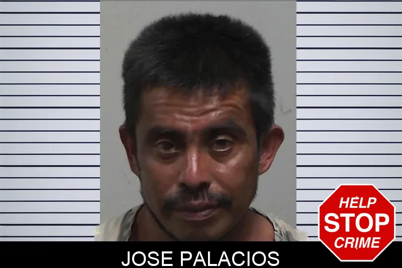 Jose Palacios mugshot