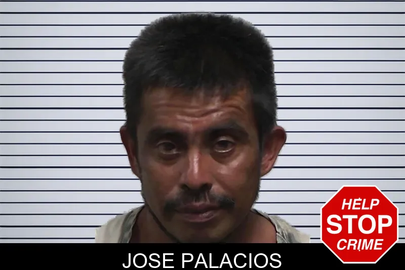 Jose Palacios mugshot
