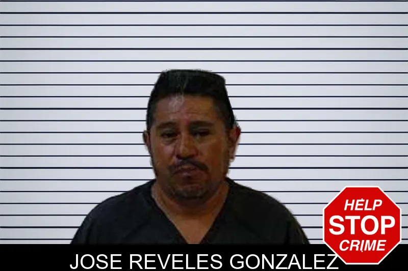 Jose Reveles Gonzalez mugshot
