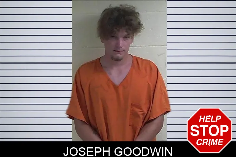 Joseph Goodwin mugshot